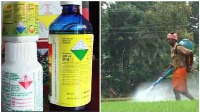 ഇരട്ടി വിഷം വിതറി കുട്ടനാട്ടിൽ 'മരണ'മരുന്നടി