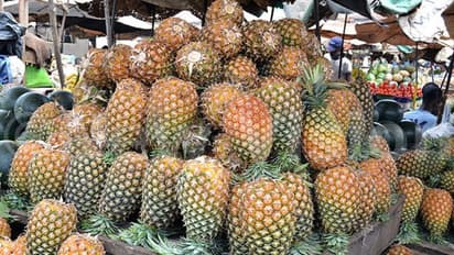 പാലായിലെ പൈനാപ്പിൾ കച്ചവടക്കാർ തെരഞ്ഞെടുപ്പ് കാലം നല്ലകാലം