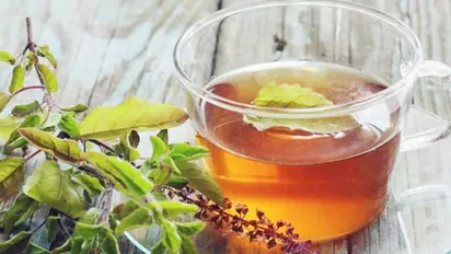Health benefits you can reap by drinking tulsi tea everyday