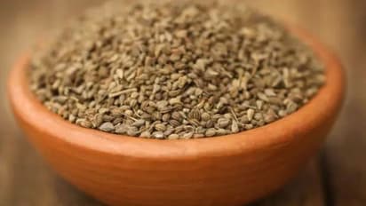 শুধু মুৃখশুদ্ধিই নয়, স্বাস্থ্য ভাল রাখতে রয়েছে জোয়ানের জুড়ি মেলা ভার