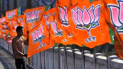 Lok Sabha election results 2019: BJP set for clean sweep in Delhi