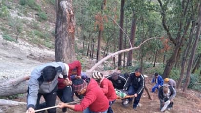 उत्तराखंड के लोहाघाट में वाहन खाई में गिरा, तीन की मौत सात घायल
