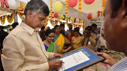 అప్పుడే జగన్ పై విమర్శలా, వద్దు: అయ్యన్న పాత్రుడు కీలక వ్యాఖ్యలు