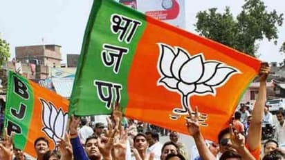 Election 2019: BJP allies in Uttar Pradesh try to extract their pounds of flesh