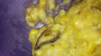 സ്കൂള് ഉച്ചഭക്ഷണത്തില് പാമ്പിന്റെ അവശിഷ്ടങ്ങള്; കണ്ടെത്തിയത് വിളമ്പുന്നതിന് തൊട്ടുമുമ്പ്