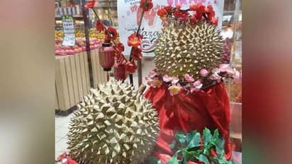 ವಿಶ್ವದ ಅತಿ ಪುಟ್ಟ ಹಣ್ಣಿನ ದರ 71 ಸಾವಿರ ರು.!: ಏನಿದರ ವಿಶೇಷತೆ?