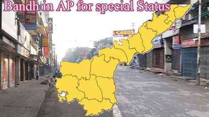 హోదాపై పోరు: ఏపీలో కొనసాగుతున్న బంద్, జగన్-పవన్ దూరం