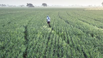 किसानों के लिए खुशखबरी: राजस्थान के किसानों को लोन न चुकाने पर जब्त नहीं होगी जमीन