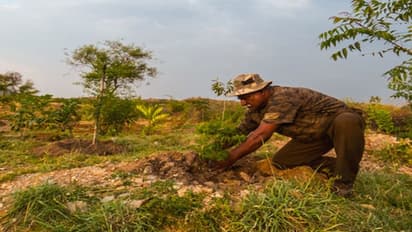 മൂന്ന് വര്‍ഷം കൊണ്ട് ഏക്കര്‍ കണക്കിന് തരിശു ഭൂമി കാടാക്കി മാറ്റിയ ഫോട്ടോഗ്രാഫര്‍