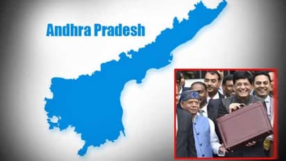 కేంద్ర బడ్డెజ్ 2019: ఆంధ్రప్రదేశ్కు మళ్లీ నిరాశే