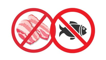 Aero Show 2019: Ban on the sale of meat in Yelahanka Air base surroundings