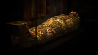 ഈജിപ്റ്റില് ബിസി 350 കാലഘട്ടത്തിലെ 40 മമ്മികൾ കണ്ടെത്തി