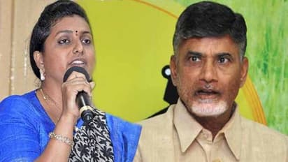 సొంత అక్కాచెల్లెళ్ల ఆస్తి కొట్టేశాడు: చంద్రబాబుపై రోజా వ్యాఖ్యలు