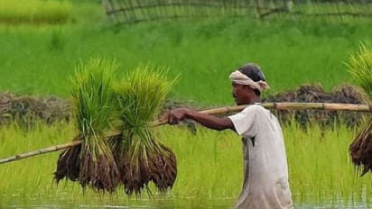 రైతులు ఇలా చేయకపోతే పీఎం కిసాన్ డబ్బులు రావు