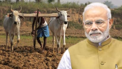 ರೈತರಿಗೆ ಕೇಂದ್ರದ ಕೊಡುಗೆ: ಖರೀದಿ ಪೋರ್ಟಲ್ ಬದಲಾವಣೆ, ಮಧ್ಯವರ್ತಿಗಳ ಆಟಕ್ಕೆ ಬ್ರೇಕ್!