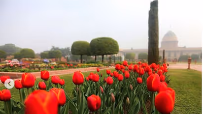 Mughal Gardens: ऑनलाइन बुकिंग करते समय इन स्‍टेप्‍स का रखें ध्‍यान, यहां जानिए टिकट प्राइस और बाकी डिटेल्‍स