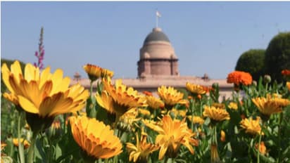 രാഷ്ട്രപതി ഭവനിലെ മു​ഗൾ ​ഗാർഡന്റെ പേരുമാറ്റി; ഇനി മുതൽ അറിയപ്പെടുക പുതിയ പേരിൽ