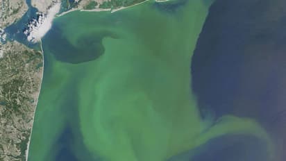 இனி கடல் பச்சை நிறமாகப் போகுது... ஆராய்ச்சியாளர்கள் பகீர் தகவல்..!