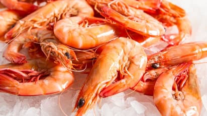 కరోనా వైరస్ ఎఫెక్ట్... విలవిలలాడుతున్న రొయ్య రైతులు