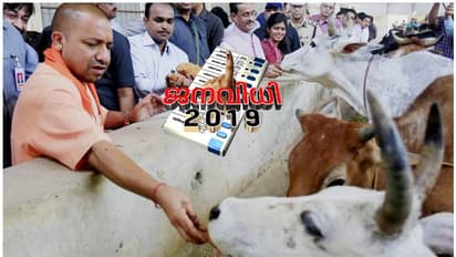 ഉത്തർപ്രദേശ് ബജറ്റിൽ ഗോശാലകൾക്ക് യോഗി സർക്കാർ നീക്കി വച്ചത് 450 കോടി രൂപ