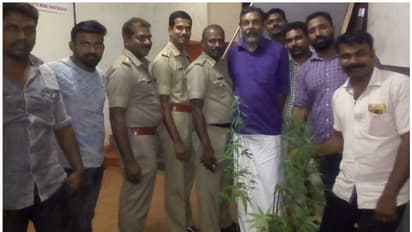 വീട്ടുവളപ്പിൽ കഞ്ചാവ് ചെടി; ചേർത്തലയില് വീട്ടുടമസ്ഥനെ അറസ്റ്റ് ചെയ്തു