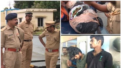 പാലക്കാട് കാഞ്ചാവ് കടത്തുകാരുടെ ഇടത്താവളം; ഒരു വർഷത്തിനിടെ പിടിച്ചത് 452 കിലോ കഞ്ചാവ്