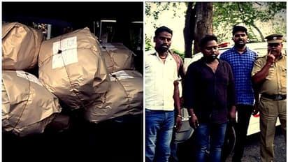 തിരുവനന്തപുരത്ത് വൻ കഞ്ചാവ് വേട്ട; കാറിൽ കടത്തിയ 80 കിലോ കഞ്ചാവ് പിടികൂടി