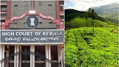 ദേവികുളം പഞ്ചായത്തിന്റെ ഭൂമി കയ്യേറ്റം; വീണ്ടും ഹൈക്കോടതിയെ സമീപിക്കാന് ഒരുങ്ങി പരാതിക്കാരന്