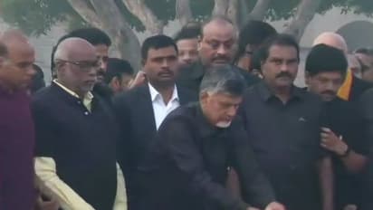 नायडू बैठे दिल्ली में धरने पर ,विशेष राज्य के दर्जे की मांग