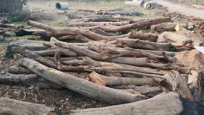 కొమరంభీమ్ జిల్లాలో అటవీ, పోలీస్ శాఖ కార్డెన్ సెర్చ్: భారీగా కలప స్వాధీనం