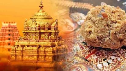 ತಿಮ್ಮಪ್ಪನ ಮೇಲಿನ ಭಕ್ತಿ ಖಚಿತ: ತಿರುಪತಿ ಲಡ್ಡು ಇನ್ಮುಂದೆ ಉಚಿತ!