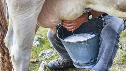 ಶಿವಮೊಗ್ಗ: ಹೈನುಗಾರರಿಗೆ ಬಂಪರ್ ಸುದ್ದಿ, ಹಾಲಿನ ದರ ಹೆಚ್ಚಳ