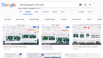 Pakistan flag ‘best toilet paper in the world’? That’s what Google search says