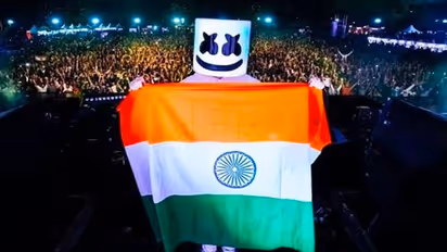 Two-minute silence observed for Pulwama martyrs at Marshmello's show