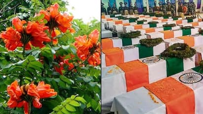 Sarjapur residents plant saplings in memory of CRPF jawans killed in Pulwama