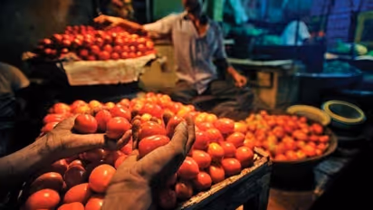 Pakistan runs out of tomatoes, takes loan from World Bank to buy them