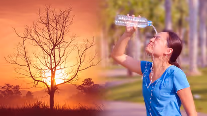 সর্বনাশ, ৯-১০ ঘন্টা একটানা বসে কাজ করছেন, হিট স্ট্রেসে বাড়ছে বিপদ, ঝুঁকি এড়াতে কী করবেন