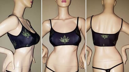 बिकिनी या लॉन्जरी के प्रदर्शन पर नहीं रोक