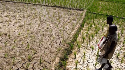 വേനൽ കടുത്തു, പാലക്കാട്ടെ താപനില 41 ഡിഗ്രീ; ന്യൂനമർദ്ദം ശക്തിപ്പെട്ടാൽ മഴയ്ക്ക് സാധ്യത