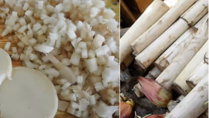 வாழைத்தண்டு : மாசத்துக்கு 2  முறையாவது இதன் ஜூஸ் குடிங்க.. விஷயம் தெரிஞ்சா NO செல்லவே மாட்டீங்க!