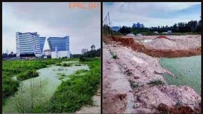 കലക്ടർ നടപടിയെടുത്തില്ല: ടെക്നോപാർക്കിലെ തണ്ണീർത്തടം നികത്തലിനെതിരെ പരാതിക്കാർ വീണ്ടും ഹരിത ട്രിബ്യൂണലിൽ