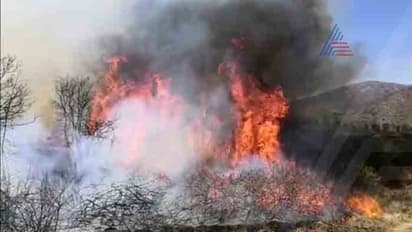 ವನ್ಯಸಂಕುಲಕ್ಕೆ ಬೆಂಕಿ.. ನೆರವಿಗೆ ಧಾವಿಸಿದ ದಚ್ಚು, ವಿಜಯ್, ಗಣೇಶ್