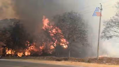 ಬಂಡೀಪುರದಲ್ಲಿ ಕಾಡ್ಗಿಚ್ಚು: 3000 ಎಕರೆ ಕಾಡು ಭಸ್ಮ, ಇಲ್ಲಿವೆ ಫೋಟೋಗಳು