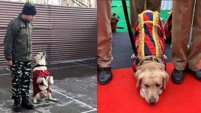 സിആർപിഎഫ് ജവാൻമാരുടെ ഉറ്റതോഴി; ഇതുവരെ കണ്ടെത്തിയത് 26 ഉഗ്ര സ്ഫോടനശേഷിയുള്ള ബോംബുകൾ