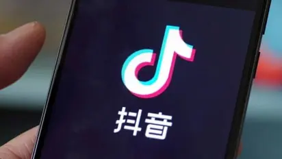 Torture of puppy on TikTok infuriates animal rights activists