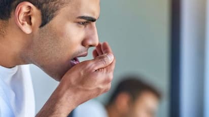 വായ്നാറ്റത്തിന് മൗത്ത് ഫ്രഷ്നര് വേണമെന്നില്ല, ദാ ഇവയൊന്ന് കഴിച്ചാല് മതി...