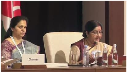 ओआईसी में भारत ने पाकिस्तान को आतंकवाद पर घेरा, सुषमा बोलीं, लड़ाई किसी धर्म के खिलाफ नहीं