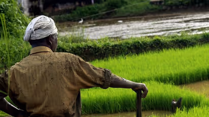 ದಯಾಮರಣ ಬೇಕೆಂದು ಕೇಳಿ ರಾಜ್ಯಪಾಲರಿಗೆ ಪತ್ರ ಬರೆದ ರೈತ
