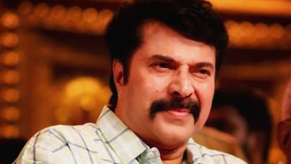 'മധുരരാജ'യില് നിന്ന് 'മാമാങ്ക'ത്തിലേക്ക് മമ്മൂട്ടി; 'അമീര്' ജൂണില്