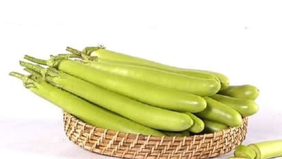 ಬದನೆಗೂ ಗೊತ್ತು ಆರೋಗ್ಯದ ಗುಟ್ಟು!